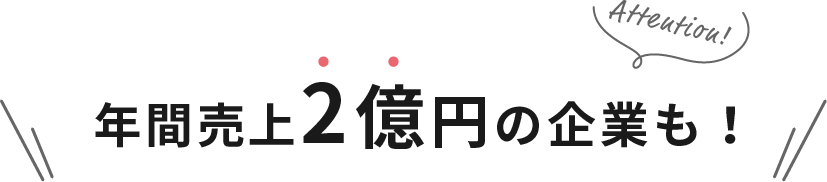 年間売上2億円の企業も!