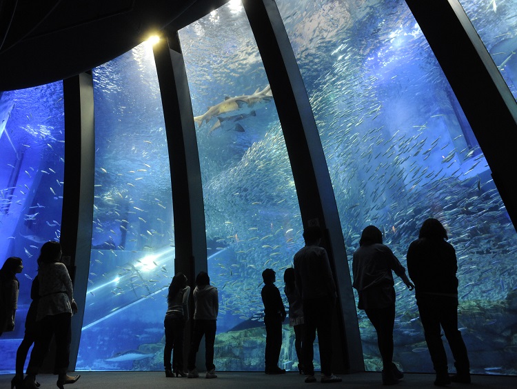 横浜・八景島シーパラダイス